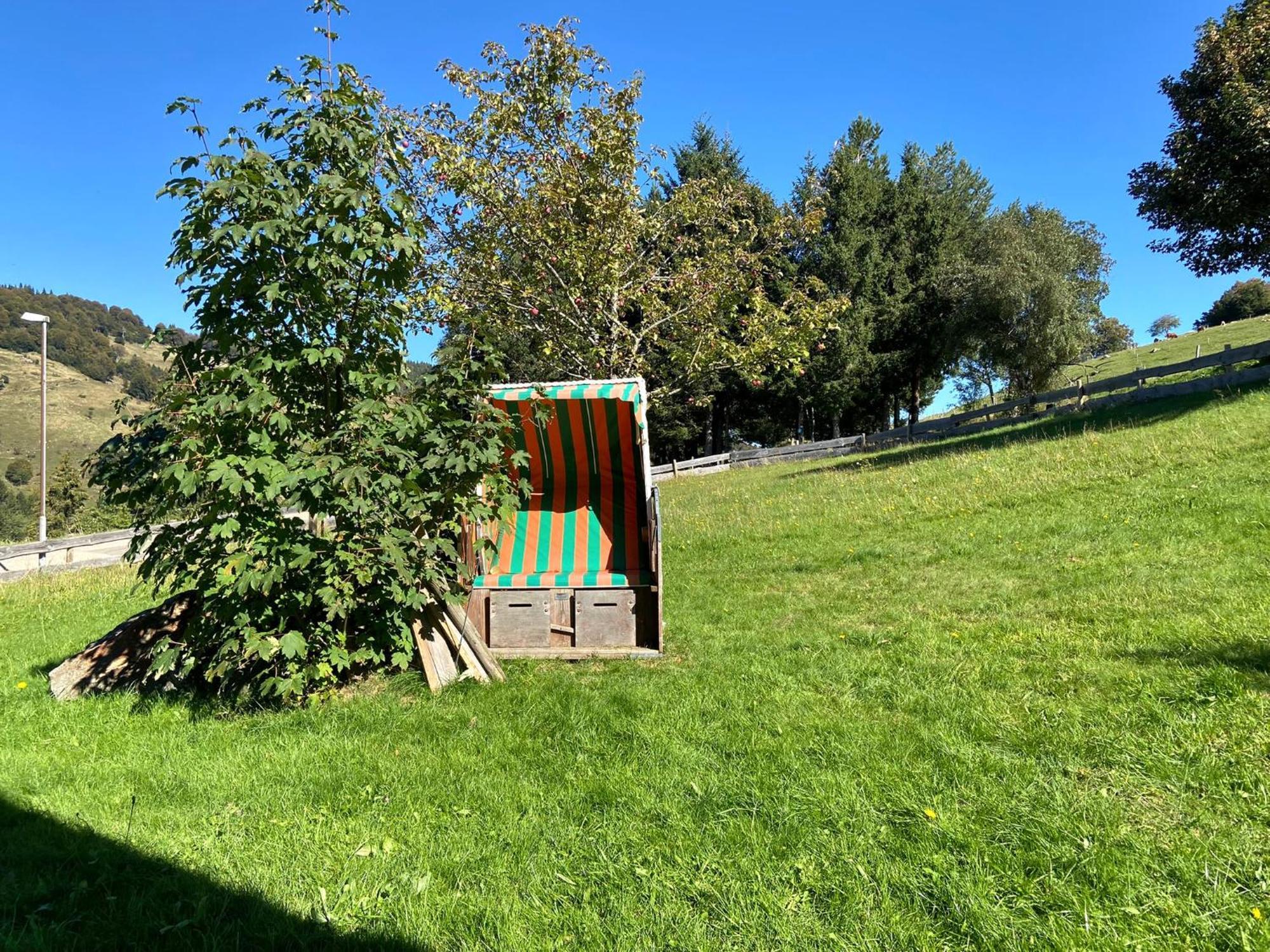 Schwarzwaldhaus Sonnenstrasse, Oberried-Hofsgrund, Dreisamtal Villa Oberried  Eksteriør billede